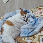 짝녀야 <b>자니</b>?