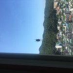 야 방충망 쳐도 <b>매미</b> 안 떨어지는데 어캄