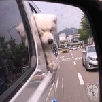 얘들아 감각 중에 벌레 <b>감지</b>