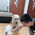 <b>기여</b>엉