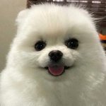 [댓글부탁해] 내 맘 그대로 변하지 않도록