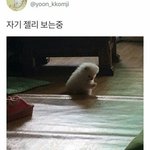 [댓글부탁해] 고2인데 수학여행이 가기싫어