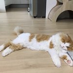 [드루와] 고딩때 <b>붙임</b> 머리 해본 사람 들어와봐