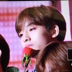 [NCT] 오늘 <b>장미</b> 진짜 너무 대단..