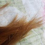 [댓글부탁해] 애옹이 <b>탈색</b>했긔
