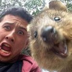얘들아 <b>박서준</b>이랑 박민영 ㄹㅇ인게