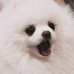 <b>판</b>녀들,,,생각보다 착한 사람들이엇구나..