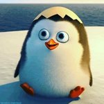 [19] 얘드라 <b>bl</b>추반좀ㅎㅎㅎ