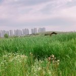[댓글부탁해] <b>전남</b>친 프사 확인하는 사람 ?