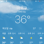 [댓글부탁해] 너네 전기파리채로 벌레 죽이고 <b>시체</b> 어떻게 처리해..?