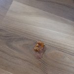 [댓글부탁해] 새끼강아지 <b>설사</b>(사진첨부)