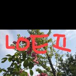 헉 <b>보정</b>법 공유할겡