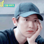 [EXO] <b>단내</b>투어 찬열이