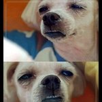 [개깊은빡침] 퇴사8개월후 적어보는 지옥에서온 여초회사썰