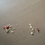 [댓글부탁해] +추가)보통 우리집정도는 맞고<b>사니</b>??