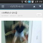 [드루와] 내기준 안흔한웃긴짤 풀고<b>간당</b>