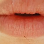 [고양이] 님덜 털뽑으면 어떻게 가지고 노세요?