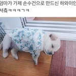 [댓글부탁해] 쌍수 당일날 원래 이렇게 아파????