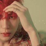 [모두드루와] <b>레오</b> 라미네이트 한게 넘 속상하고