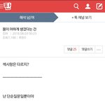 개가 왜 미친건지,