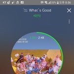 [세븐틴] 슈아 정한 유닛명