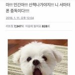 [조언부탁해] <b>공평</b>, 불<b>공평</b> 추반 좀
