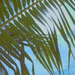 [방탄소년단] 나 골클보고 <b>사이판</b> 뱅기표 예매함