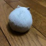 니 <b>뒷태</b>