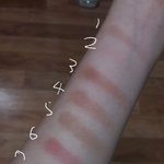 [뷰티] 화<b>장고</b>잔데 여기서 섀도우 조합추천해주고가면만원주음