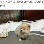 귀짤 <b>수위</b> 많이 낮아졌네