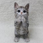 [꼭봐주세요] [널리 공유해주세요] 수원의 한 고등학교 여학생들이...