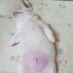 [드루와] 8월12일날  테딘워터<b>파크</b>가는사람