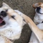 <b>니돈</b>부터내놔