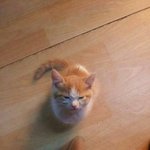 [댓글부탁해] <b>김은</b>솔 이라는 이름 ㅇㄸ