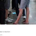 [드루와] '불편한 진실' 광화문 <b>시위</b> 진짜 '워마드'와 무관?.....