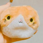 [드루와] 나 집 베란다에서 귀여운거 찾았어