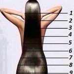 <b>머리</b> <b>길이</b>좀 봐주라