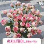 [댓글부탁해] 바비톡으로 <b>견적</b> 받아본사람
