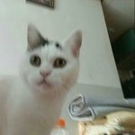 [댓글부탁해] <b>이한영</b> 양홍원 박준희 유태현 이상훈 이수린