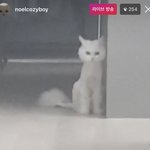ㄹㅇ 장용준 이거봐 개웃겨 ㅋㅋㅋㅋㅋㅋㅋㅋㅋㅋㅋㅋㅋㅋㅋ