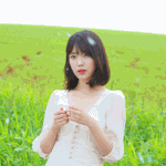 그룹별 사기<b>캐</b> 멤버(주관적)