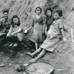 일본에서 초대<b>박난</b> 한류 1세대 걸그룹의 위엄 ㄷㄷㄷ.jpg