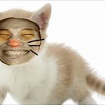 [댓글부탁해] 우리집 고양이좀 봐주랑