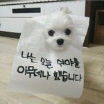 [조언부탁해] 나 반에서 제일 예쁜데ㅠ..