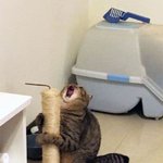 남돌 <b>복근</b> 보면
