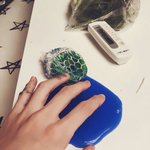 [드루와] 노랑<b>통닭</b> 맛있어?