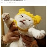 [댓글부탁해] 얘들아 ㅈㄴ쎄보이는 남자이름 추천좀