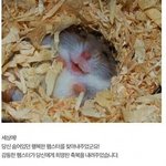 식욕 <b>억제</b> 개꿀팁 알려줄까