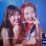 조이 짱팬 <b>웬디</b>