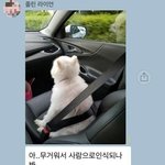 [댓글부탁해] 나 초딩때 군인들 사이 비집고간적있는거같은데